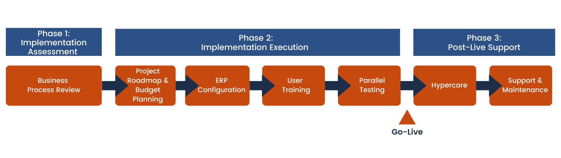 iRely Implementation (2) (1)
